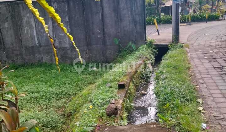 For Lease Pink Zone Ubud City