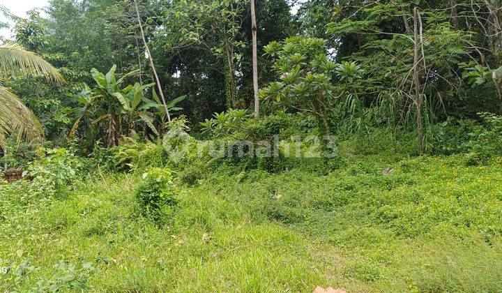 Land for Rent. Roadside in Ubud Pejeng. Land for Rent. Roadside in Ubud Pejeng.
