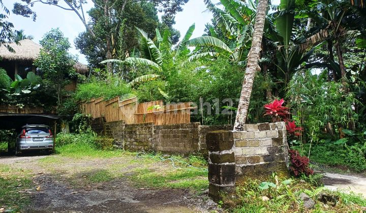 For Rent 10 Are with Views of Rice Fields and Forest For Rent 10 Are with Views of Rice Fields and Forest