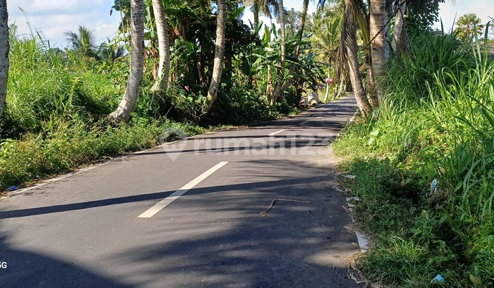 Land for Sale 15 Minutes to Ubud City