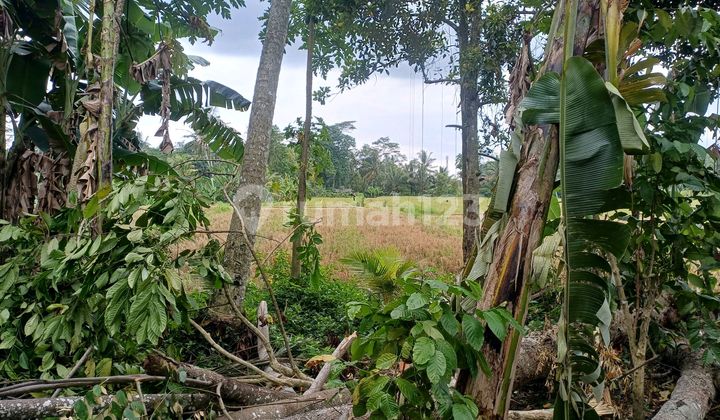 Land Lease Rice Field View Near Ubud Land Lease Rice Field View Near Ubud