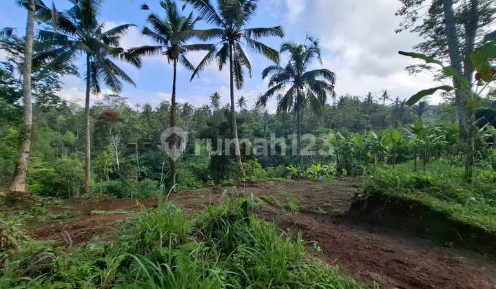 Tanah 45 Are View Lembah.sawah dan Sungai Kecildi Tegalalang Ubud