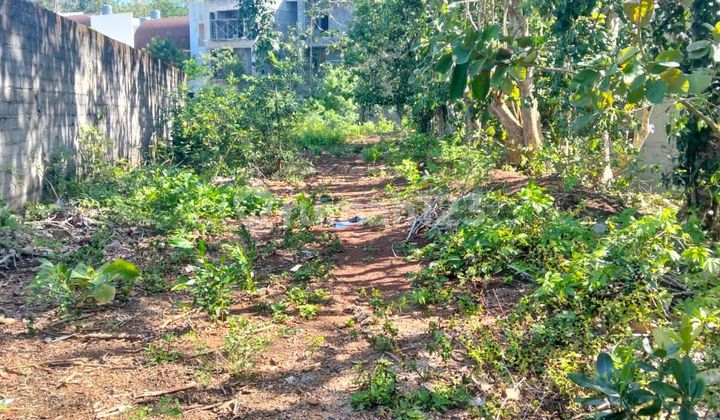 Di.kontrakkan Tanah Cantik. Cocok Di.bangun.vila.