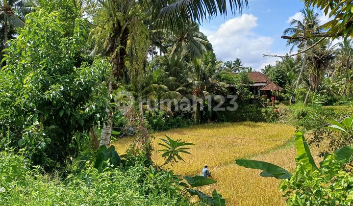 Jual Tanah Zona Kuning Siap Bangun 7 Km Dari Bud