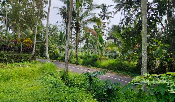 Tanah Cantik dan Strategis.di Ubud Tegallalang