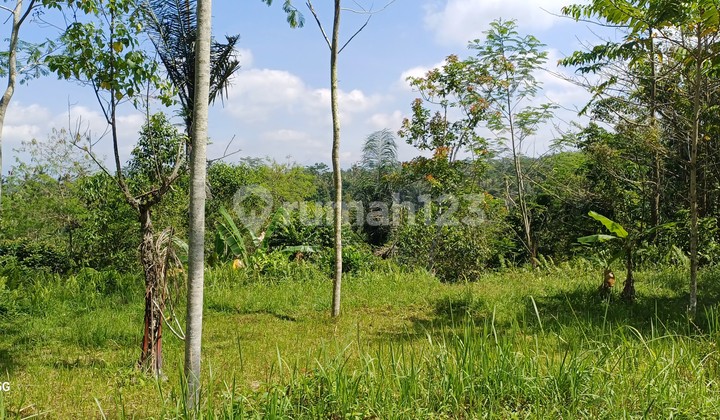 Cheap and Beautiful Land for Sale Cheap and Beautiful Land for Sale