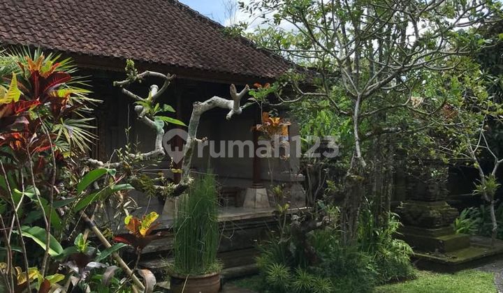 Tanah Cantik di Ubud