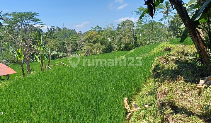 Land For Rent 10.Are Land For Rent 10.Are