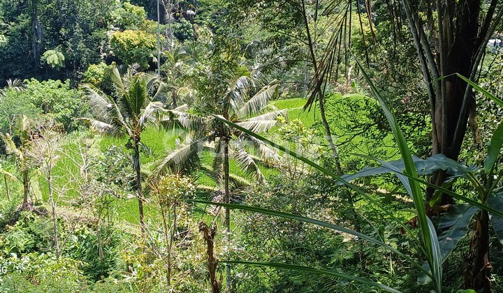 Tegalalang View Land Lease.valley Tegalalang View Land Lease.valley