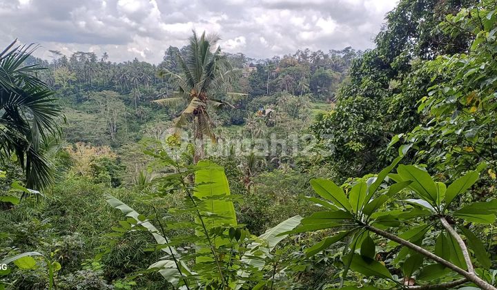 Tanah Cantik View Lembah Dan Hutan Di Utara Ubud