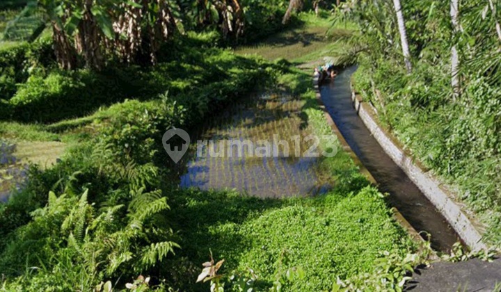For Rent Beautiful and Strategic Land Near Ubud