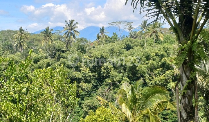 Tanah Strategis View Sungai dan Gunung