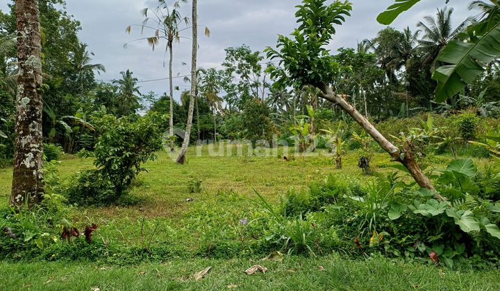 Di Jual Tanah Murah Diubud Tegallalang