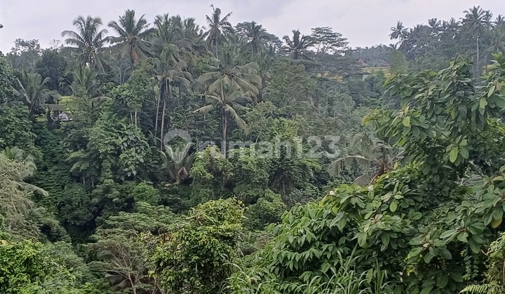 Cheap Land for Sale 27 Ares Next to Main Road