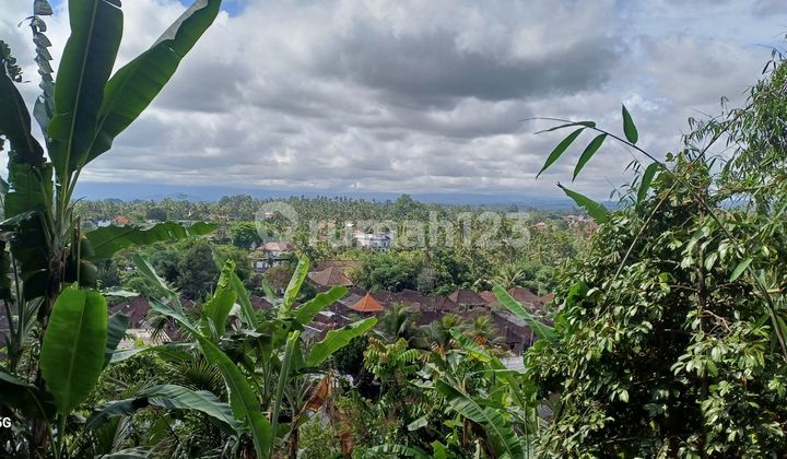 Cheap Land for Rent Near Ubud with Views of Rice Fields, Mountains, and Forests.