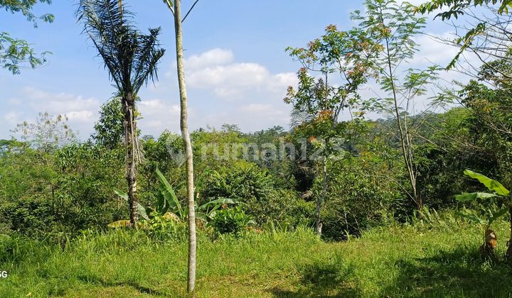 Di Jual Tanah Murah Dan.cantik