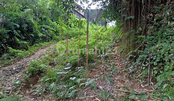 Cheap Land Lease.20 Minutes to Ubud.Brown Zone City.