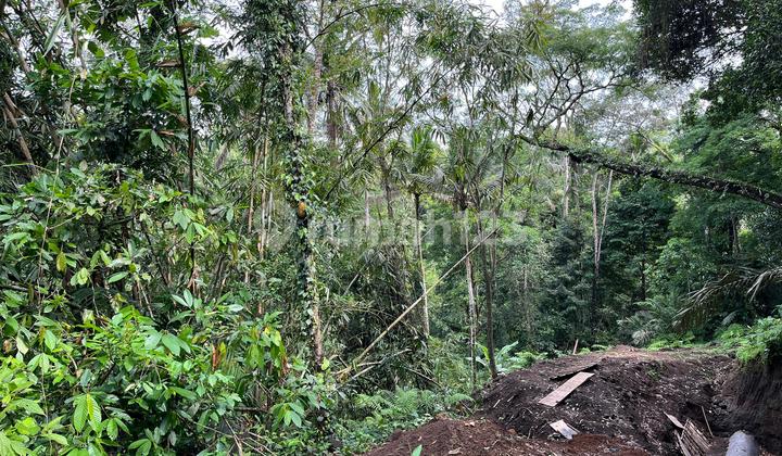 Rent Land with Forest and River View Near Ubud