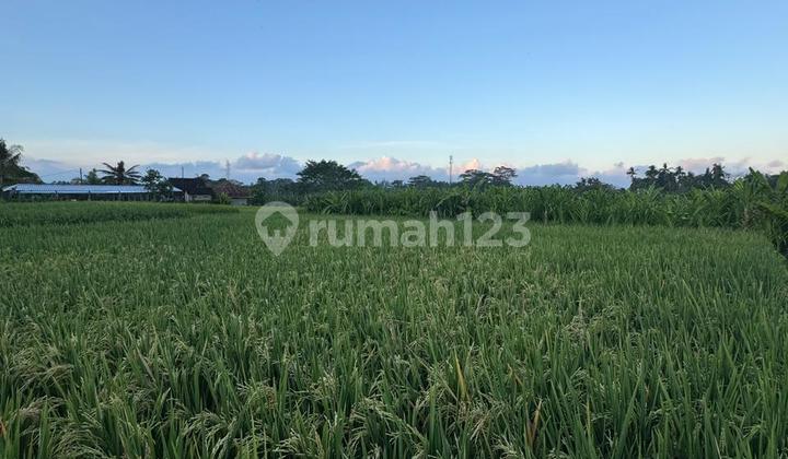 Freehold/murah 15 Menit Ke Ubud 