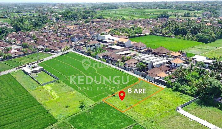 Land at Kedungu Beach, Tabanan SHM 600 m² 1