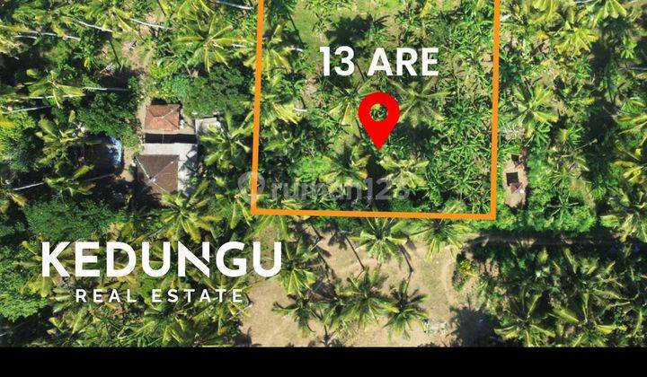 Land in Batu Tampih near Kedungu Beach, Tabanan HS 1,300 m² 1