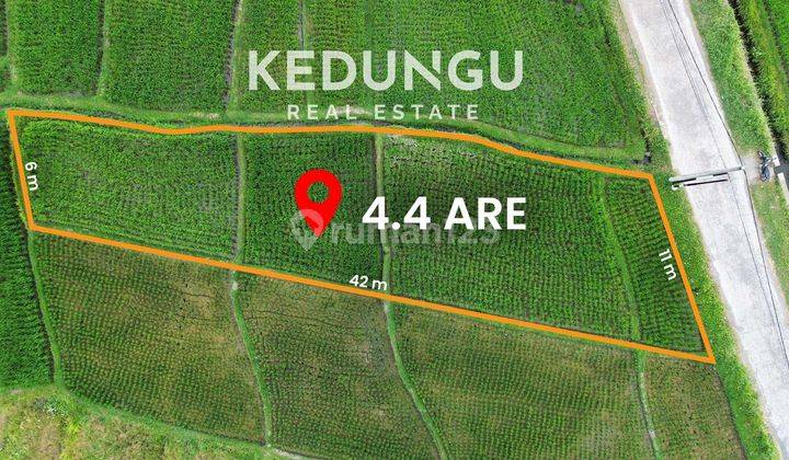 Land at Kedungu Beach, Tabanan HS 440 m²