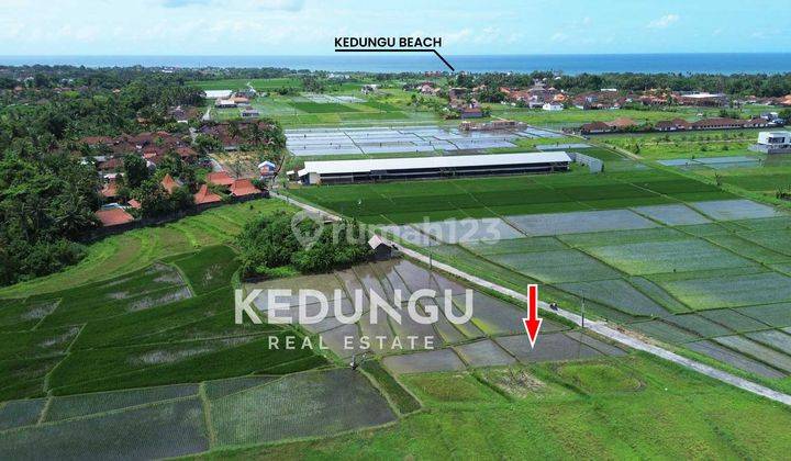 Tanah di Pantai Kedungu, Tabanan HS 440 m² 2