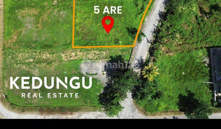 Land at Kedungu Beach, Tabanan SHM 500 m² 1