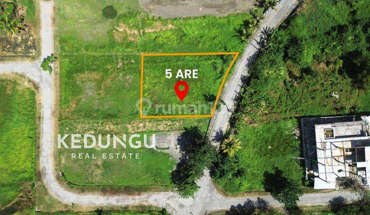 Land at Kedungu Beach, Tabanan SHM 500 m² 2