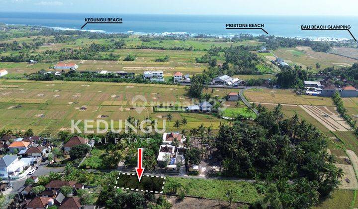 Tanah di Pigstone Beach, Tabanan HS 300 m² 2