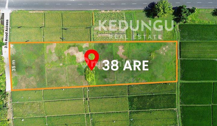 Land in Pangkung Tibah, Tabanan SHM 38 are 2