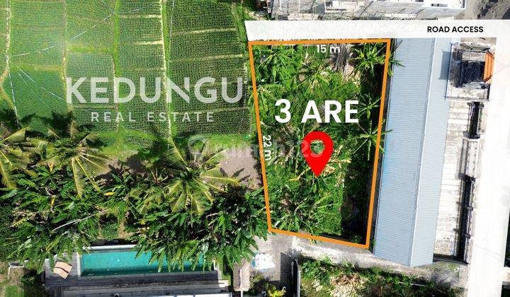 Land in Kedungu Beach, Tabanan HS 300 m²