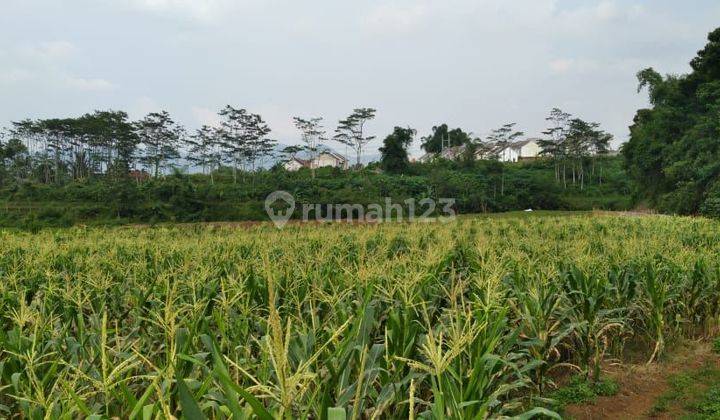 Tanah Siap Bangun Untuk Perumahan Di Kawasan Banjaran Bandung Rumah