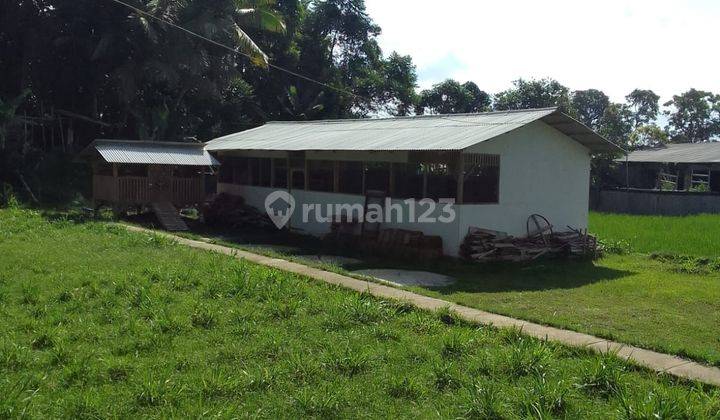 Rumah, Kolam Ikan, Kandang  dan TanahLuas Di Gegerbitung Sukabumi 2