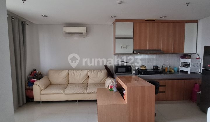Dijuak Cepat Apartemen Paddington Height Dekat Binus University 2