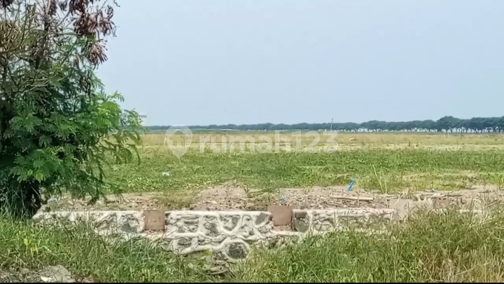 Tanah Datar Siap Bangun Area Kawasan Industri Kendal Tanah Datar Siap Bangun Area Kawasan Industri Kendal