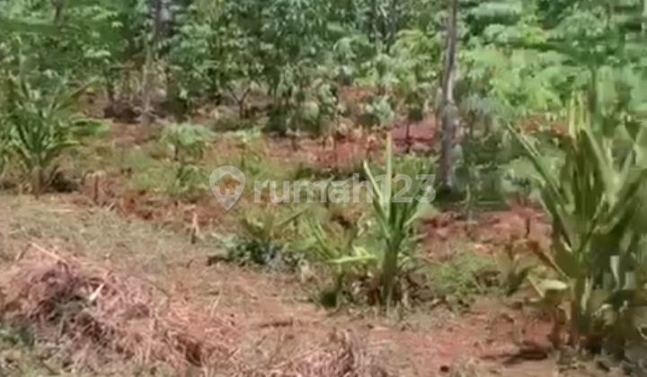 Tanah Datar Siap Bangun Area Gajah Mungkur Semarang 1