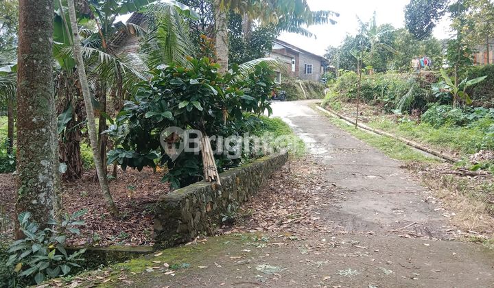 DIJUAL LAHAN KOSONG BONUS BANGUNAN UNGARAN SEMARANG 2