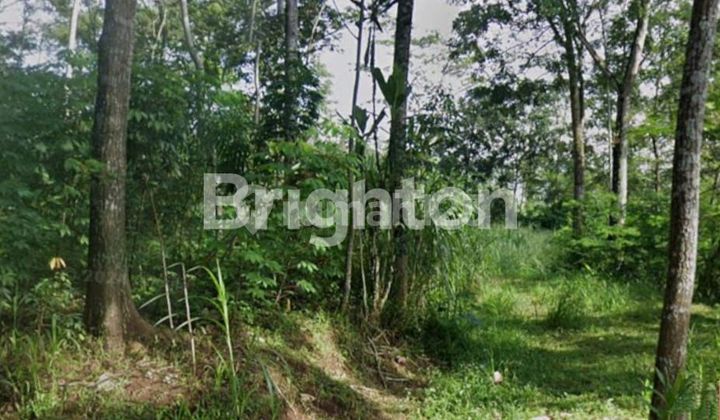 TANAH DATAR SIAP BANGUN AREA ARGOMULYO SALATIGA 1