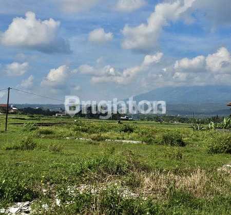 READY-TO-BUILD LAND IN SIDOREJO AREA, SALATIGA