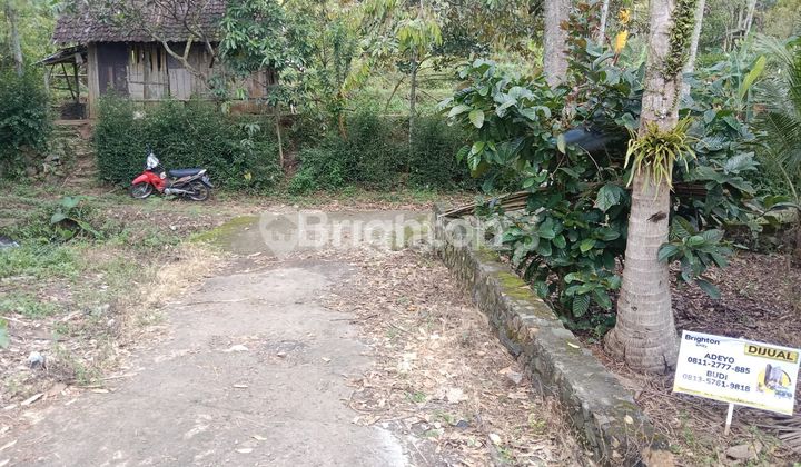 DIJUAL LAHAN KOSONG BONUS BANGUNAN UNGARAN SEMARANG 1