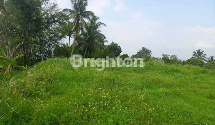 TANAH DATAR SIAP BANGUN AREA UNGARAN BARAT TANAH DATAR SIAP BANGUN AREA UNGARAN BARAT