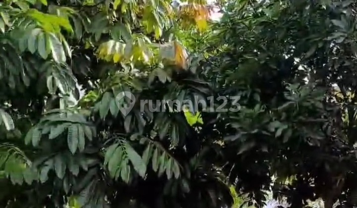 Ready-to-Build Land Area in BSB Citraland Mijen, Semarang 1