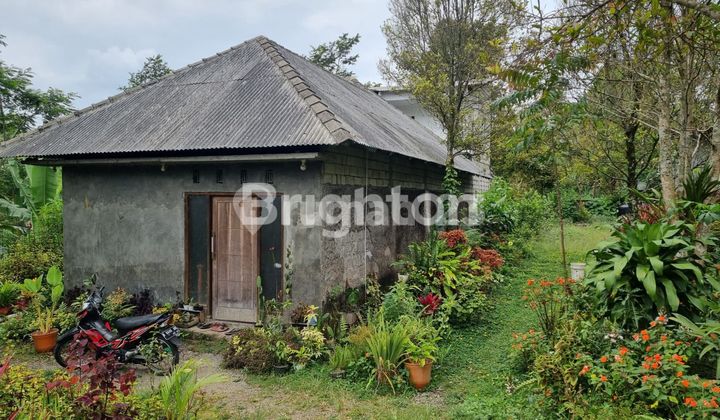 VILLA KOPENG SIAP PAKAI SALATIGA SEMARANG