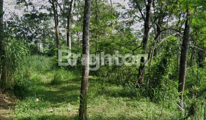 TANAH DATAR SIAP BANGUN AREA ARGOMULYO SALATIGA 2