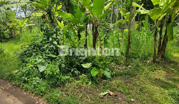 TANAH DATAR SIAP BANGUN NOBOREJO SALATIGA SEMARANG TANAH DATAR SIAP BANGUN NOBOREJO SALATIGA SEMARANG