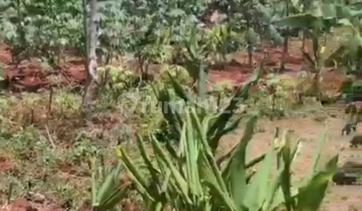 Tanah Datar Siap Bangun Area Gajah Mungkur Semarang 2