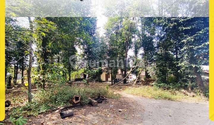 Tanah Komersial 9660m² Jual Sewa di Jl. Nasional Pracimantoro