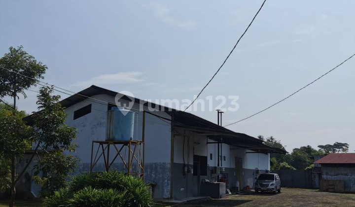 Quick Sale and Negotiable Until Deal, Ex Coffee Factory 26,070 m2, in Batang Area, Central Java.