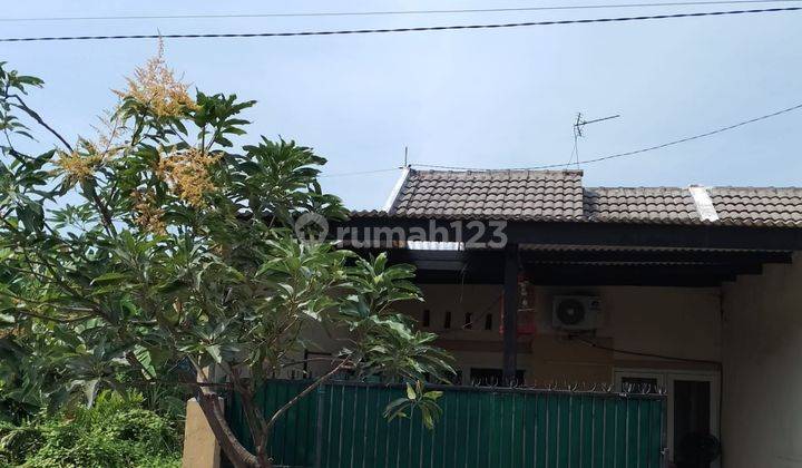 Rumah 1 Lantai Murah di Rungkut 1